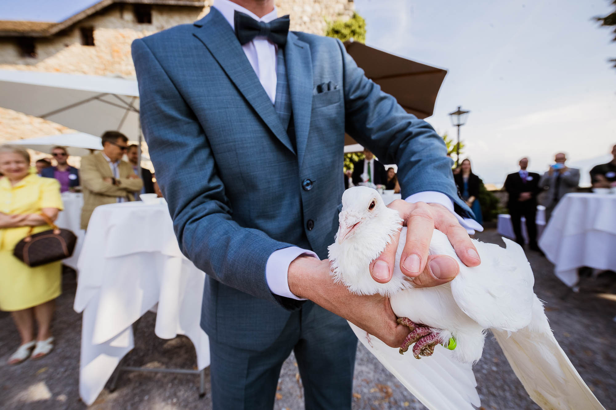 Export x3 1DX23080 Hochzeit 2020 Muriel & Trevor